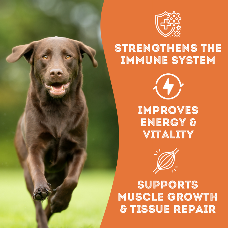 Hogs and Kisses - Dehydrated Pork Liver Treat for Dogs & Cats. It strengthens the immune system, improves energy and vitality, supports muscle growth and tissue repair.