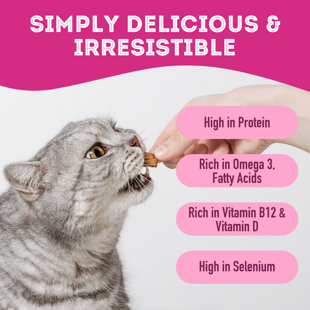 Let's Hook Up - Freeze Dried Wild Salmon Treat for Dogs & Cats. It's high in protein, Omega 3, fatty acids, Vitamin B12, Vitamin D, and selenium. It's simply delicious and irresistible.