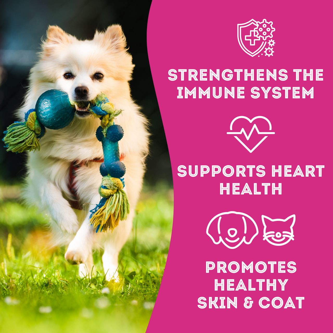 Let's Hook Up - Freeze Dried Wild Salmon Treat for Dogs & Cats. It strengthens the immune system, supports heart health, and promotes healthy skin and coat.