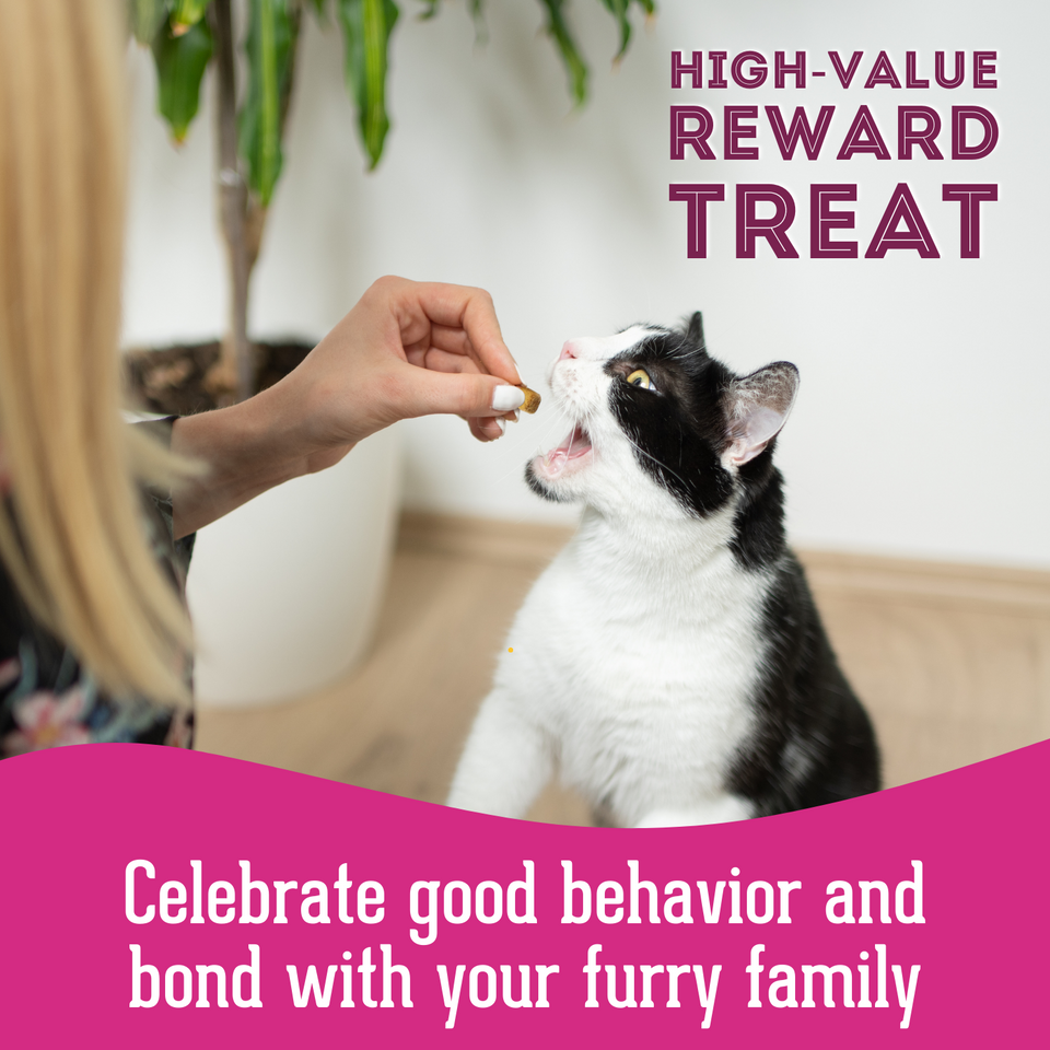Let's Hook Up - Freeze Dried Wild Salmon Treat for Dogs & Cats. It's a high-value reward treat that celebrate good behavior and bond with your furry family.