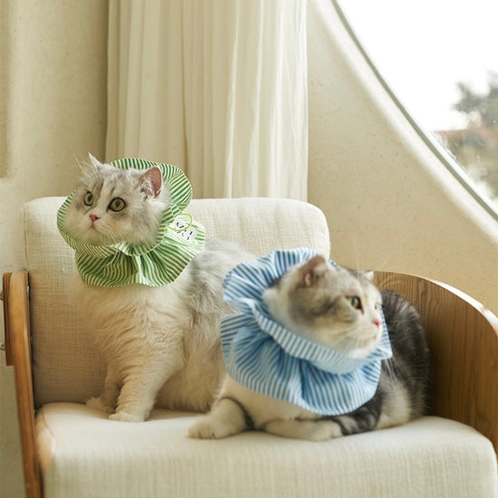 Two cats wearing protective collars laying on an armchair.