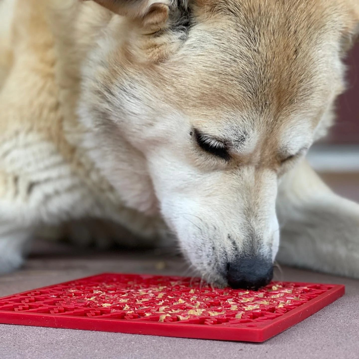 Tree Design "Peace" Enrichment Lick Mat Dog & Cat