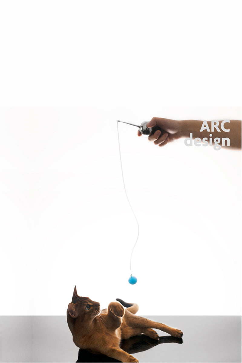 Galaxy Teaser Cat Toy