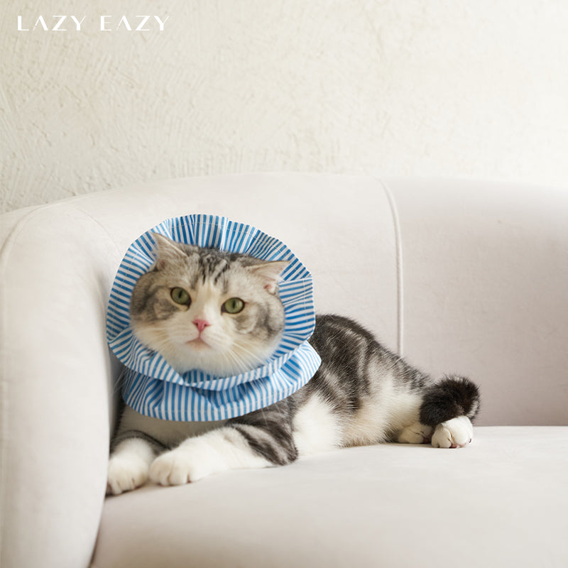 A domestic shorthair cat wearing a blue striped cotton protective elizabethan collar laying on couch.