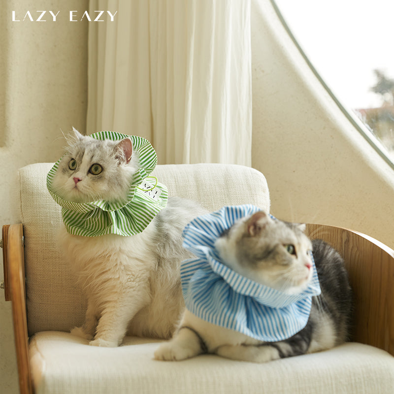 A domestic shorthair cat wearing a blue striped cotton protective elizabethan collar laying on an armchair. A Persian cat wearing a green cotton striped protective elizabethan collar sitting on an armchair.