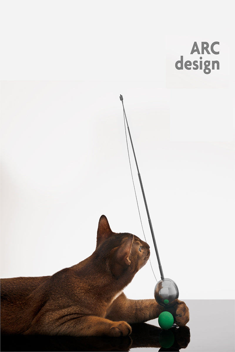 Galaxy Teaser Cat Toy