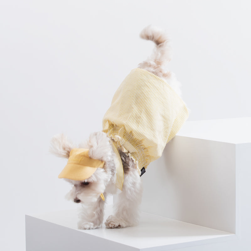 X Strap Striped Dress Dog