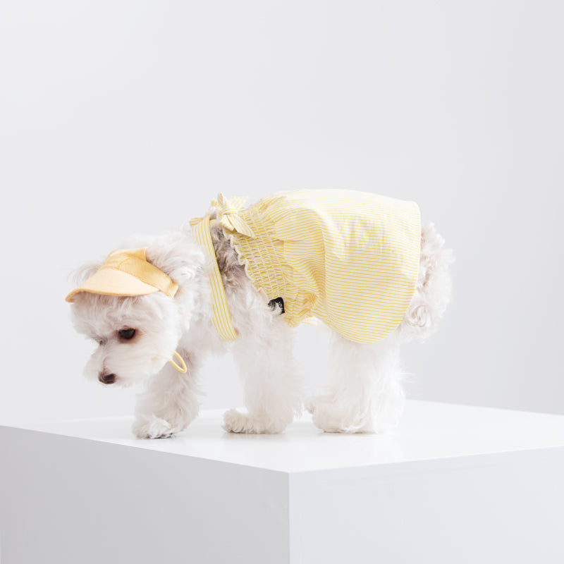 X Strap Striped Dress Dog