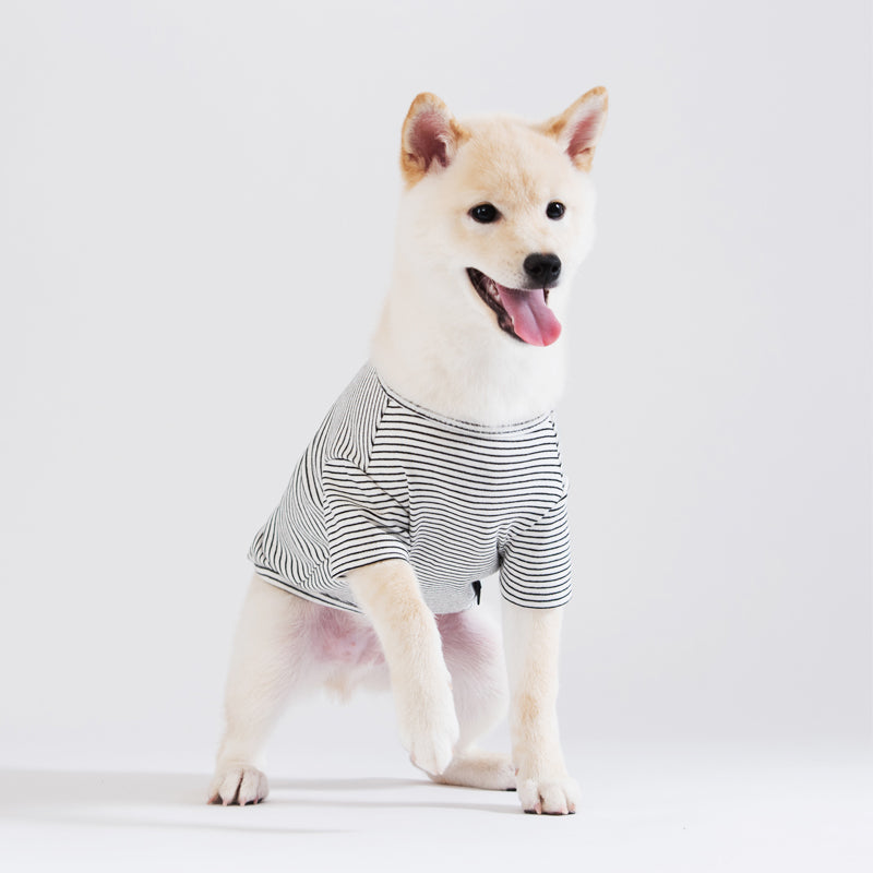 Basic Stripe T-Shirt Dog