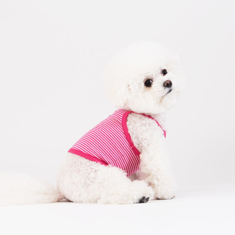 Neon Striped Cami Top Dog & Cat