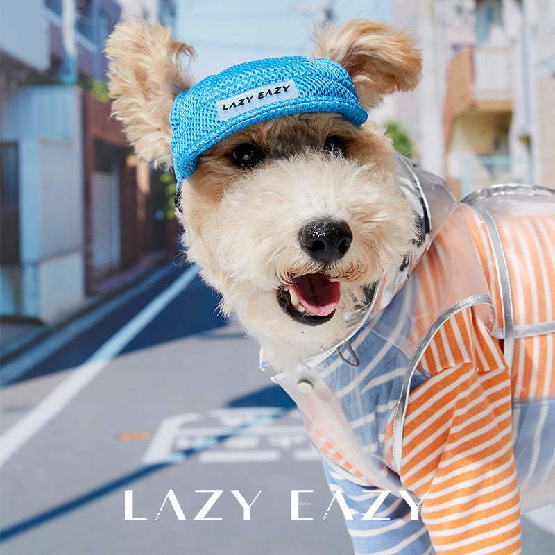 Wire fox terrier dog model in a blue sporty mesh cap, a blue and orange stripped long sleeve T-shirt, and a clear sleeveless jacket.