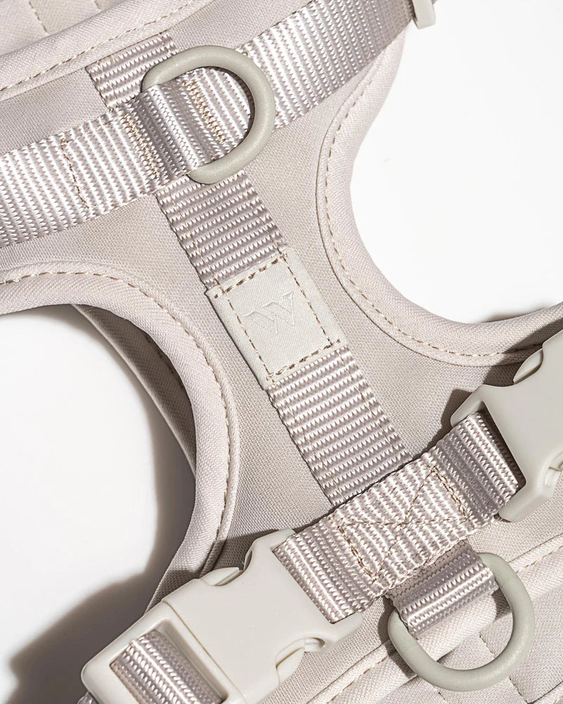 Harness - Gray