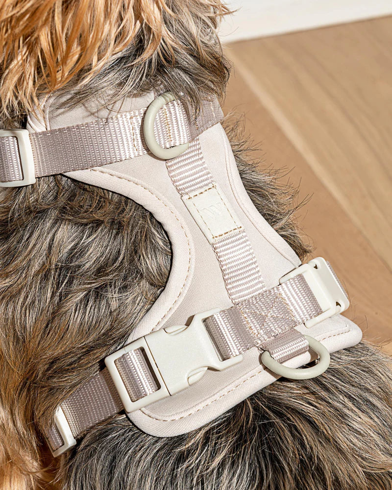 Harness - Gray