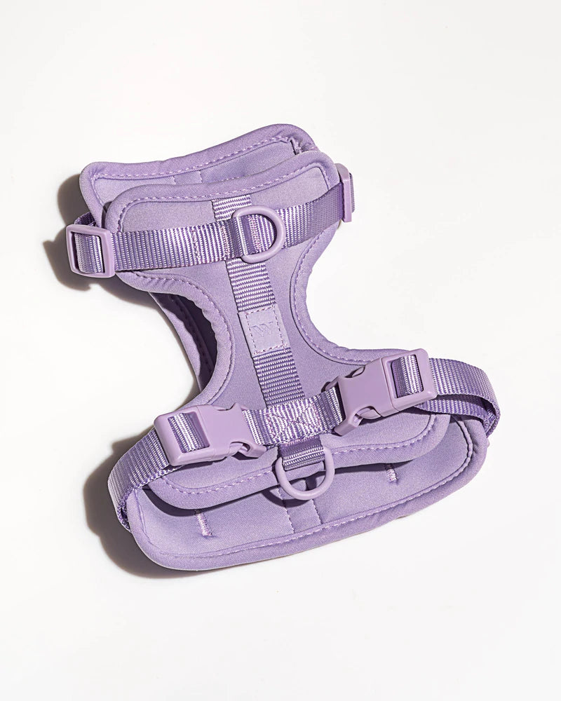 Harness Walk Kit - Lilac