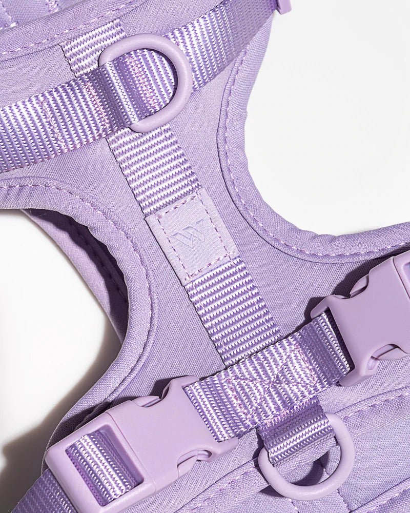 Harness - Lilac