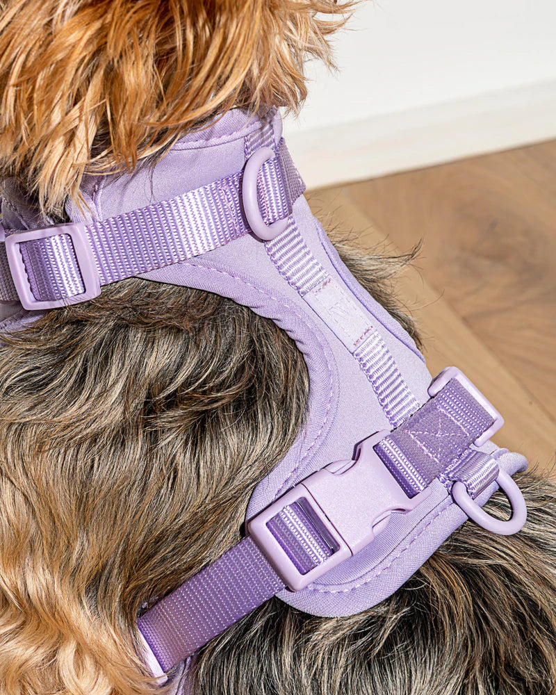 Harness - Lilac