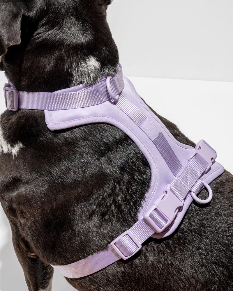 Harness Walk Kit - Lilac