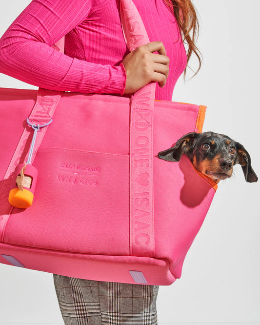 Everyday Pet Carrier