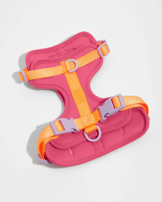 Harness - Cosmopolitan Pink