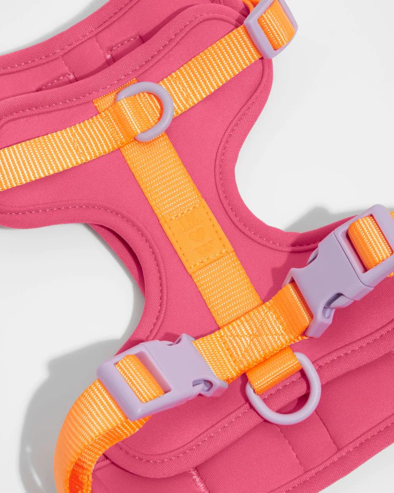 Harness - Cosmopolitan Pink