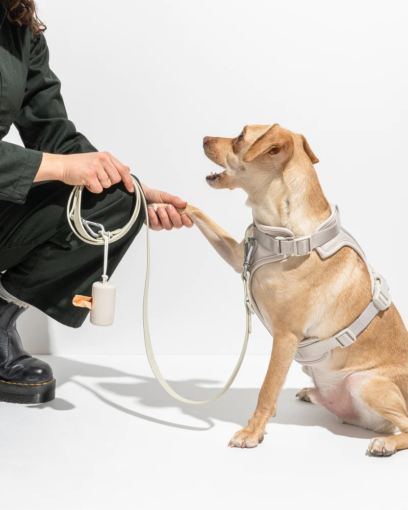 Harness - Gray