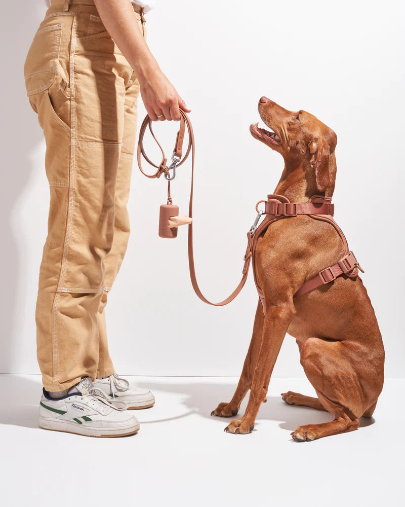 Harness - Cocoa