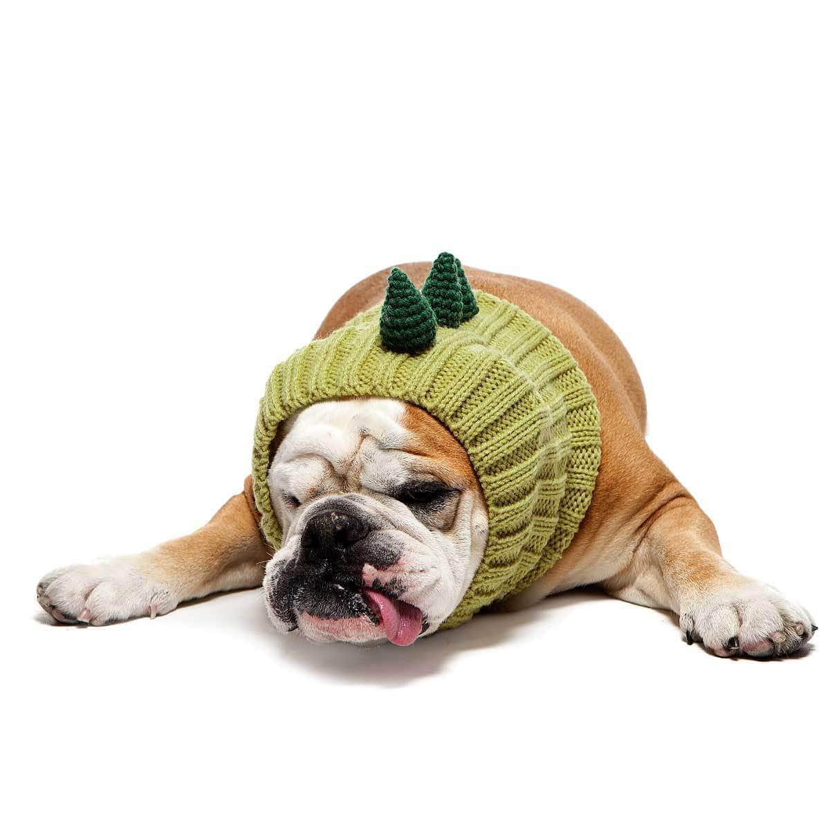 Dinosaur Zoo Snood