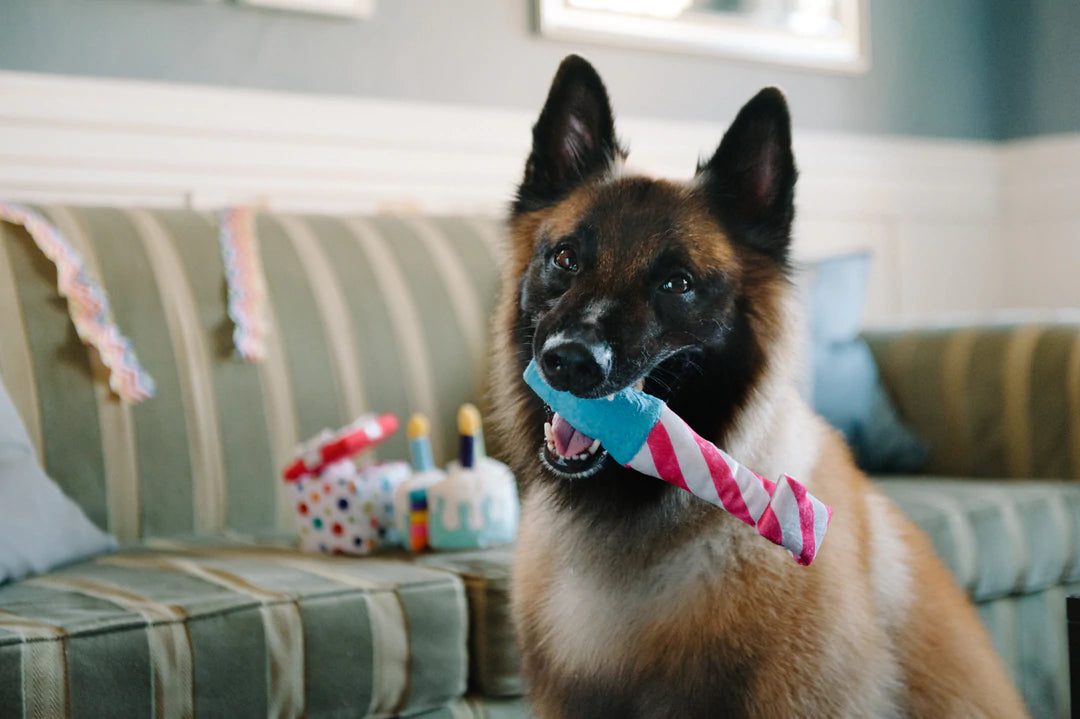 Raise the Woof Party Horn - Party Time Collection