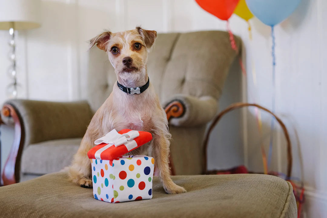 Pawfect Present - Party Time Collection
