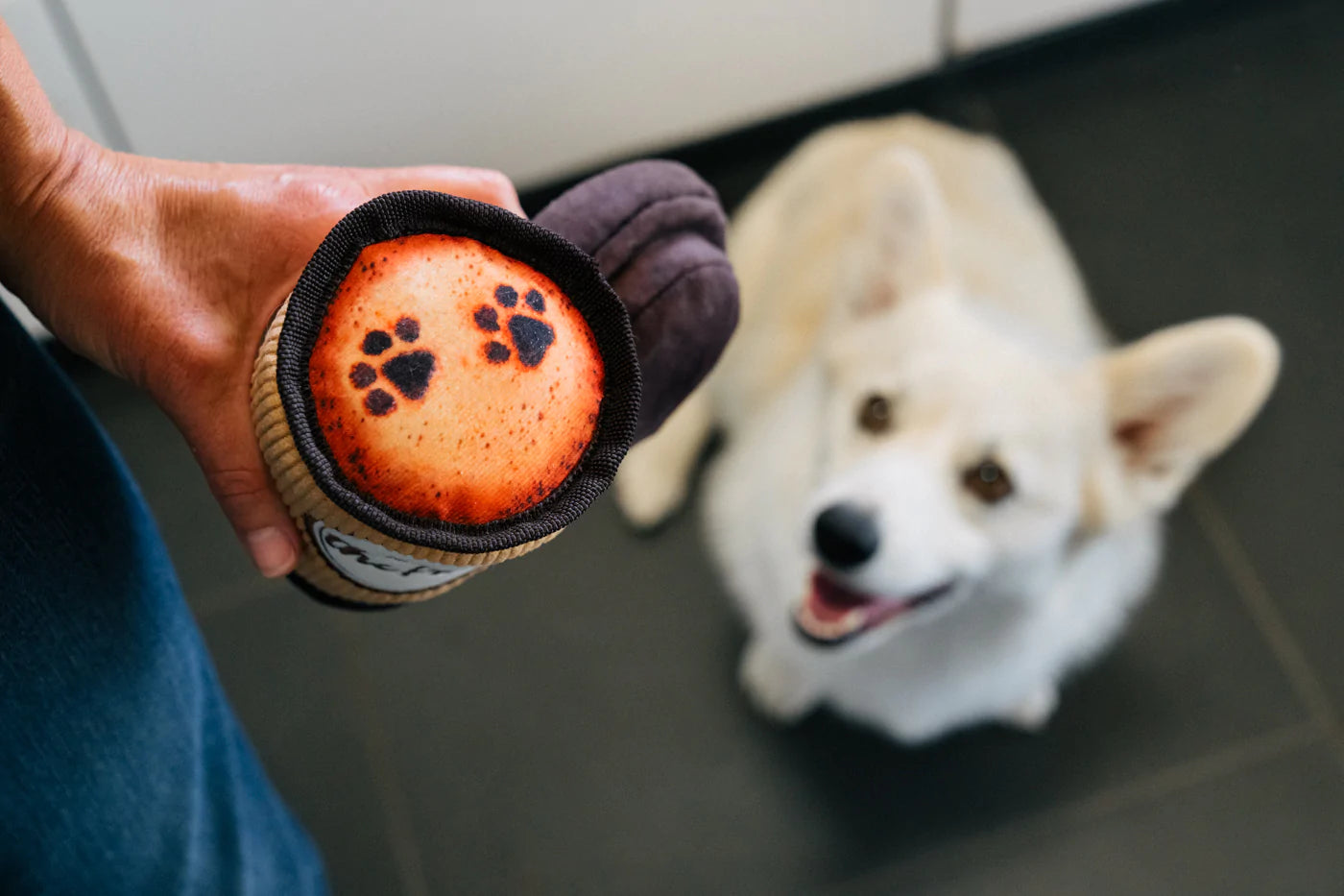 Doggo's Java - Pup Cup Cafe Collection