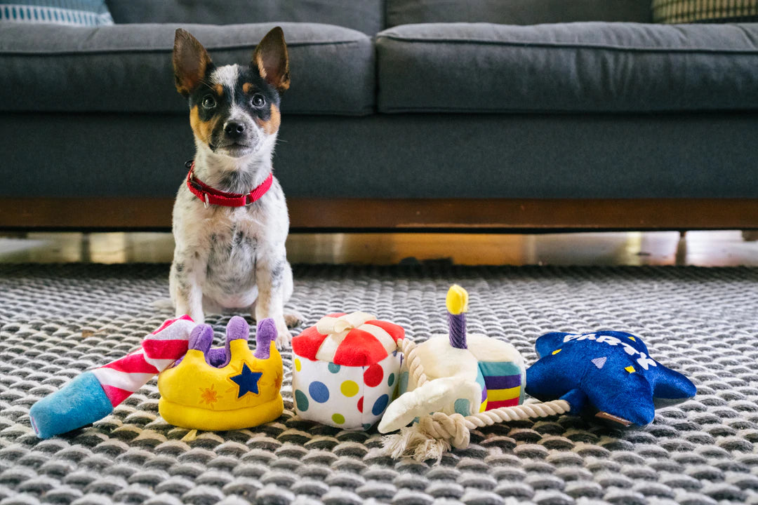 Raise the Woof Party Horn - Party Time Collection