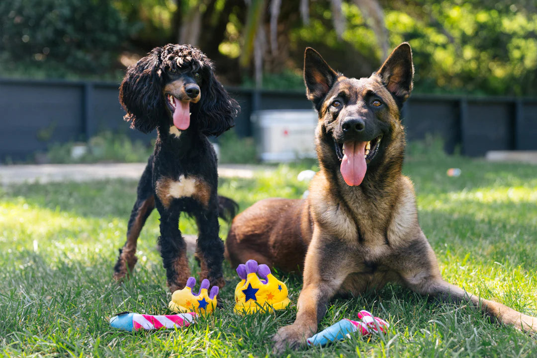 Raise the Woof Party Horn - Party Time Collection