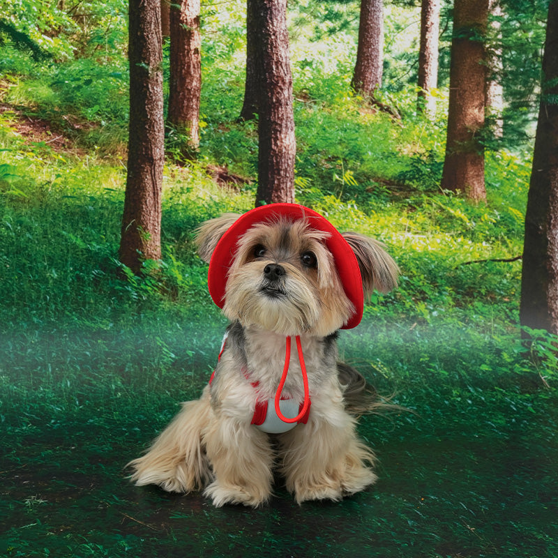 Dog wearing a cooling bucket hat.