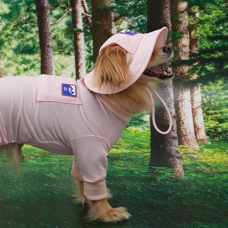 Dog wearing a cooling bucket hat.