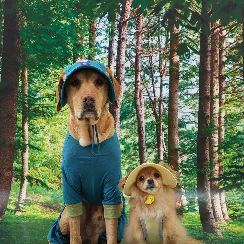 Dog wearing a cooling bucket hat.