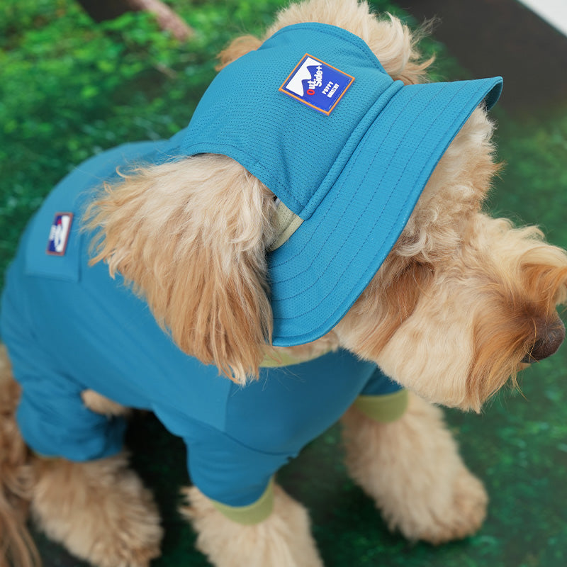 Dog wearing a cooling bucket hat.