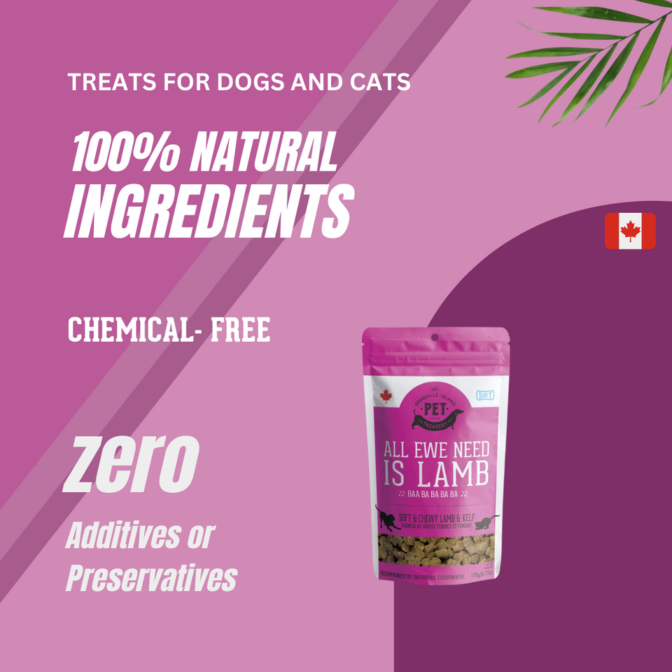 All Ewe Need is Lamb - Soft & Chewy Lamb & Kelp Treat for Dogs & Cats. It's made with 100% natural ingredients. It's chemical free and has zero additives or preservatives.