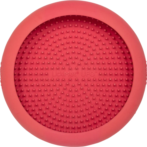 LickiMat no mess slow feed bowl and enrichment lick mat for dogs