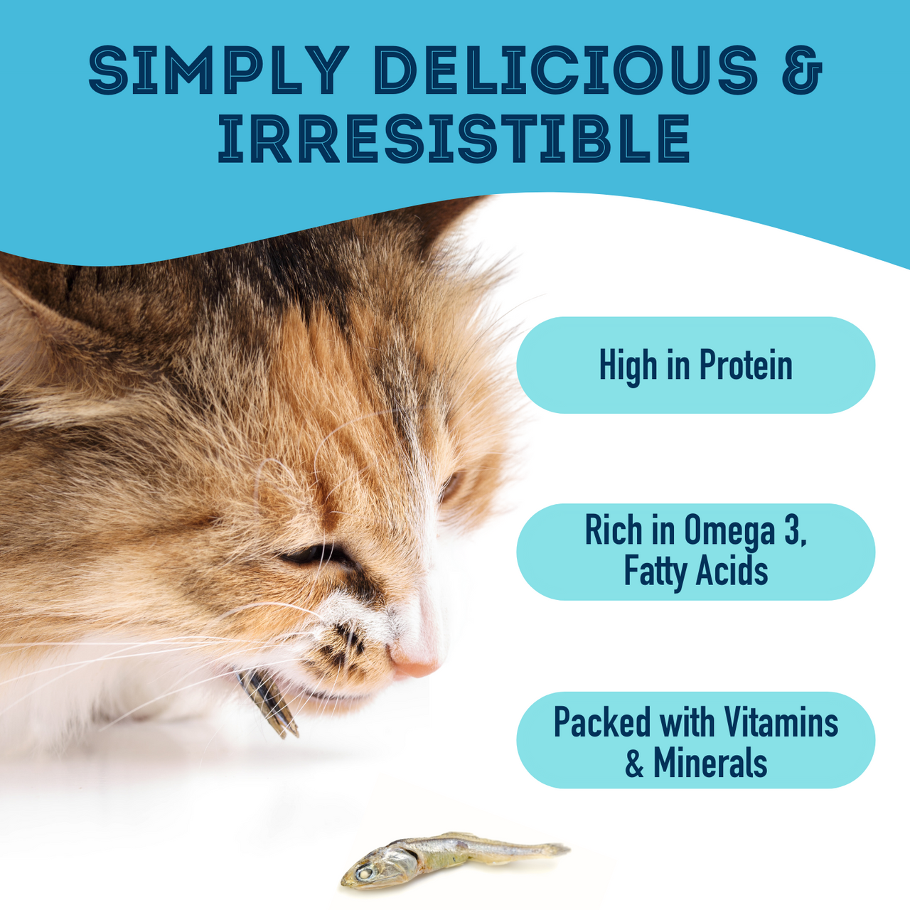 With Love and Fishes - Dehydrated Sardines Treat for Dogs & Cats. It's high in protein, Omega 3 fatty acids, Vitamins and minerals. It's simply delicious and irresistible.