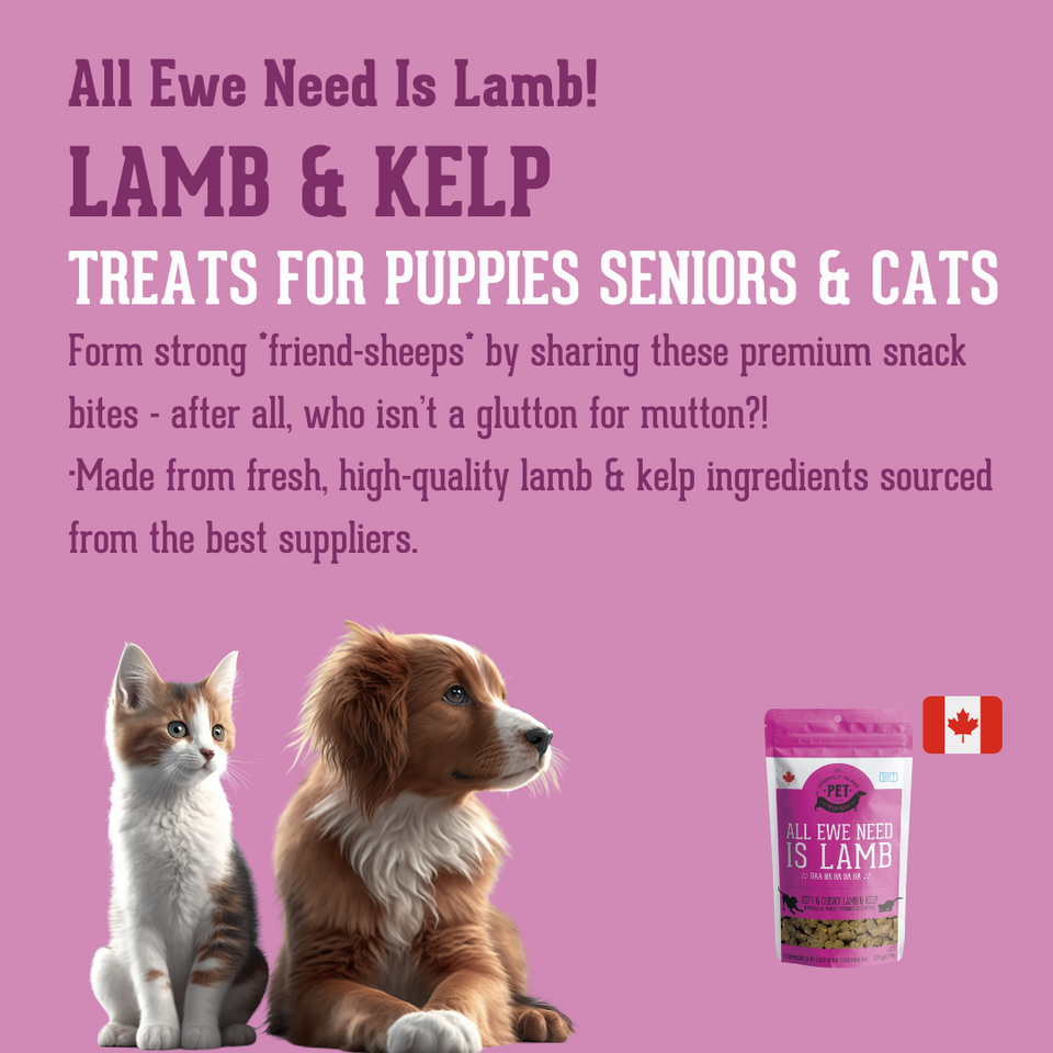 All Ewe Need is Lamb - Soft & Chewy Lamb & Kelp Treat for Dogs & Cats. It's a treat for puppies, seniors and cats. Form strong friend sheeps by sharing these premium snack bites - after all, who isn't a glutton for mutton? it's made from fresh, high-quality lamb and kelp sourced from the best suppliers.