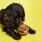 Hand Knit Hamburger Dog Toy