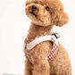 Red poodle dog model sitting wearing a checked step-in dog harness with decorative collar side view