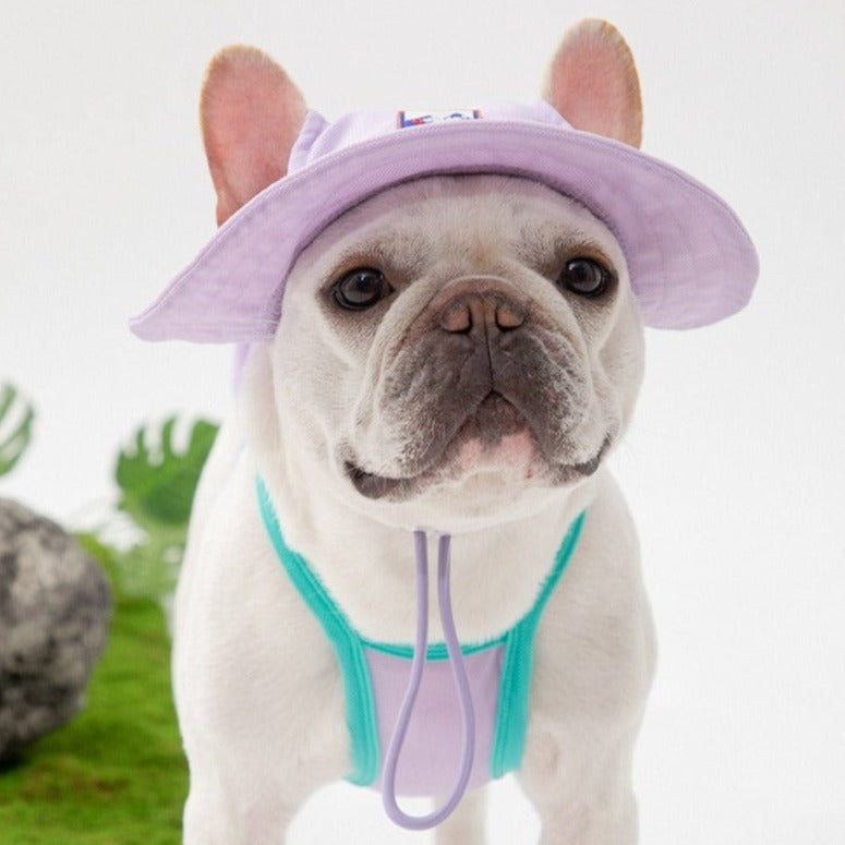 Dog wearing a cooling bucket hat.