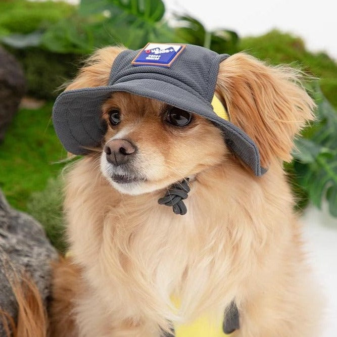 Dog wearing a cooling bucket hat.