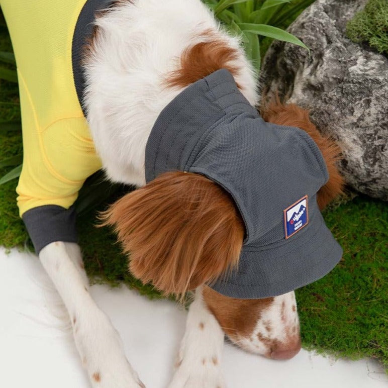 Dog wearing a cooling bucket hat.