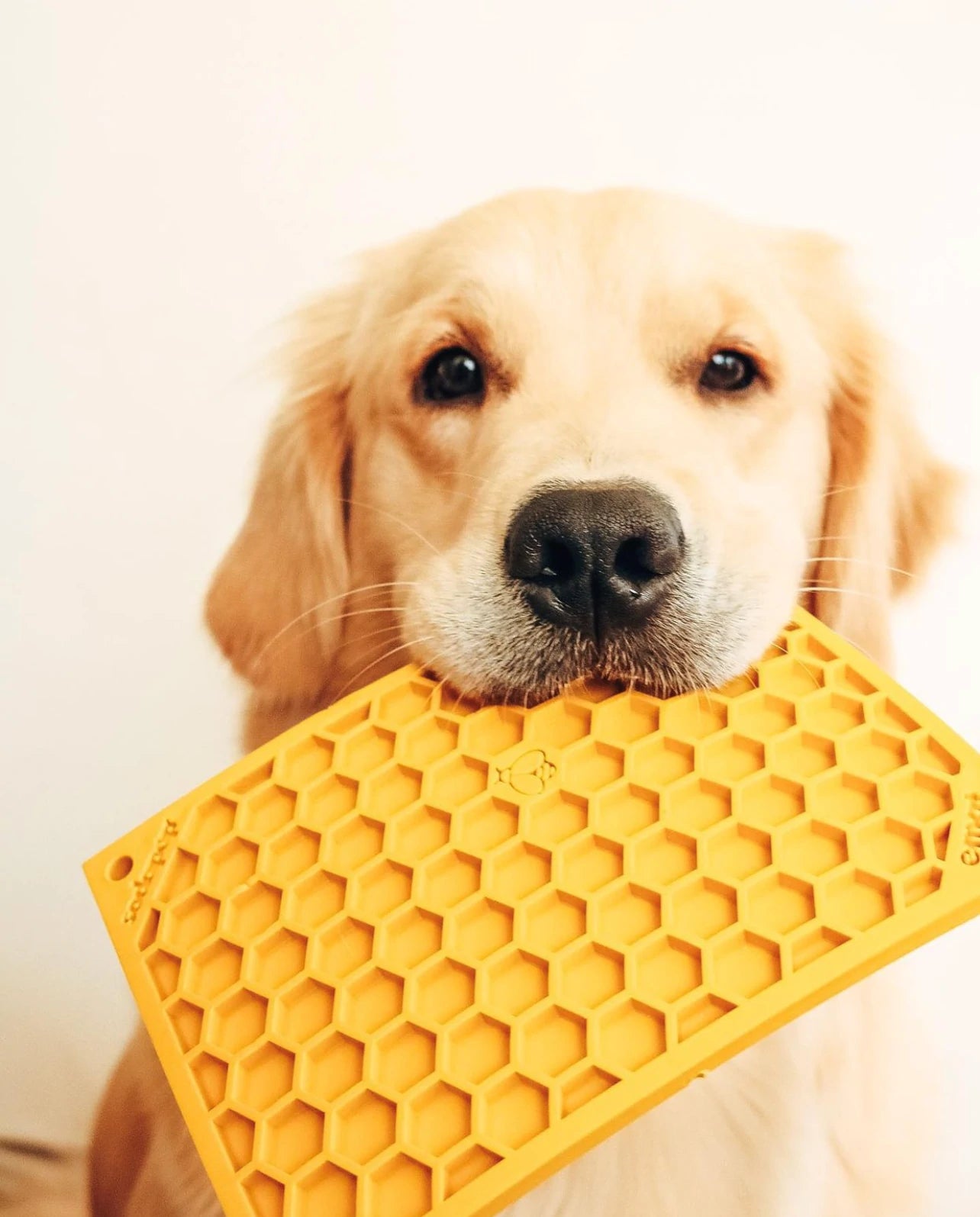 Enrichment Lick Mat Dog & Cat