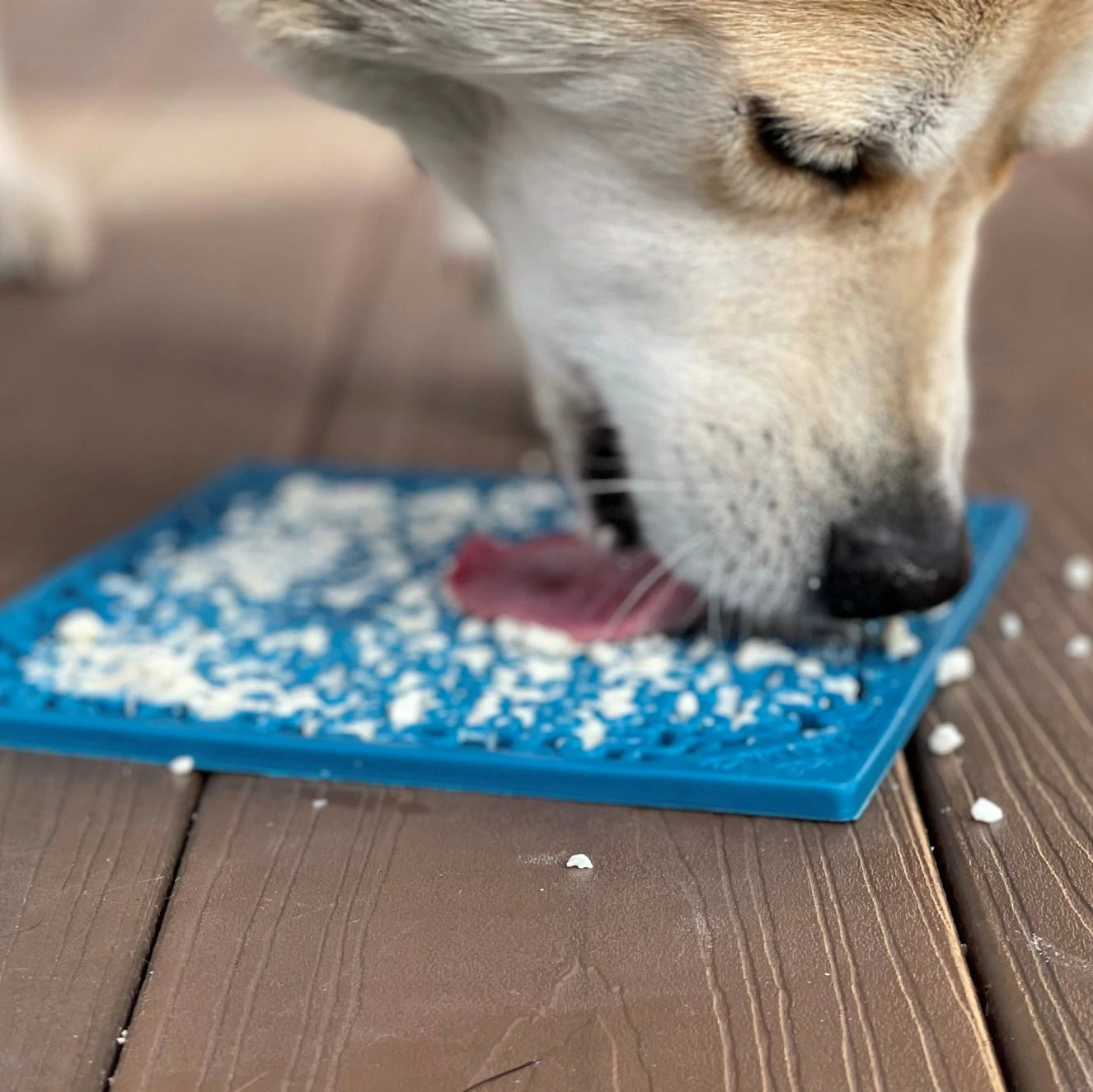 Enrichment Lick Mat Dog & Cat