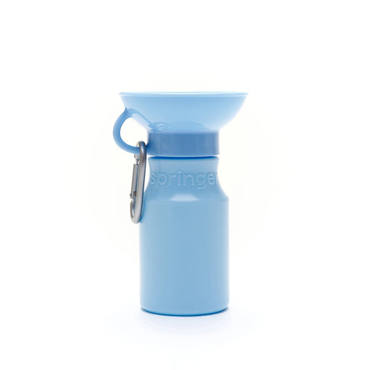 Travel Water Bottle - Mini 15oz