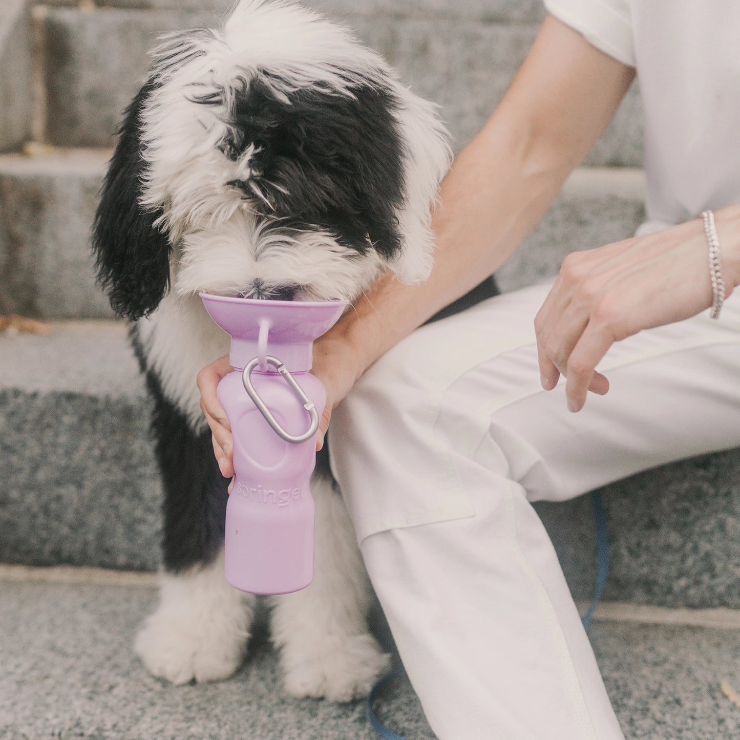 Travel Water Bottle - Classic 22oz