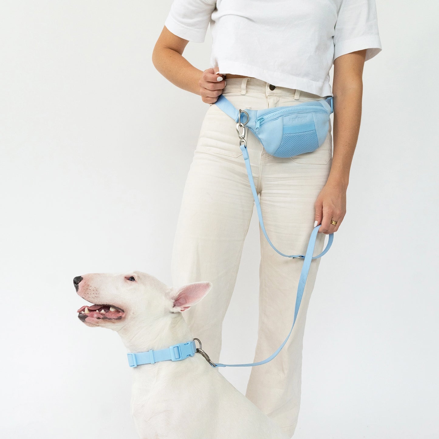 Sling Bag + Leash